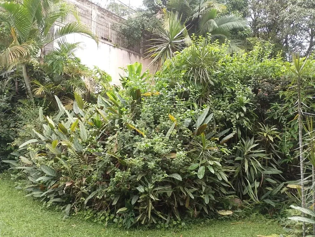 Sobrado, 5 quartos, 640 m² - Foto 42