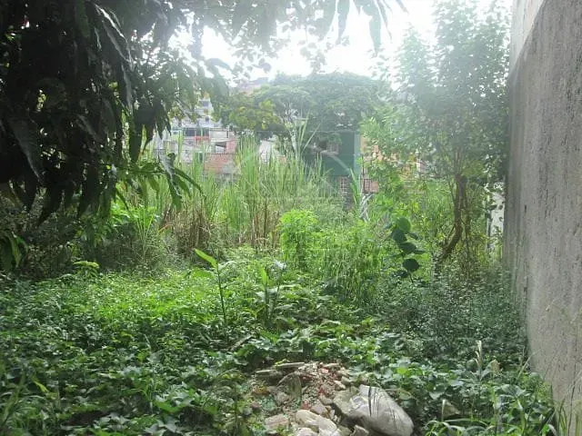 Sobrado, 7 quartos, 500 m² - Foto 18