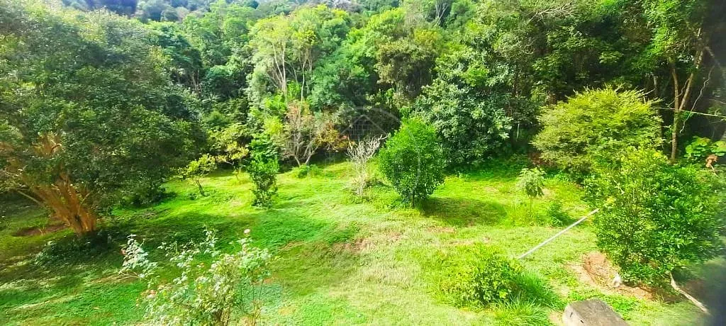 Sobrado, 4 quartos, 420 m² - Foto 5