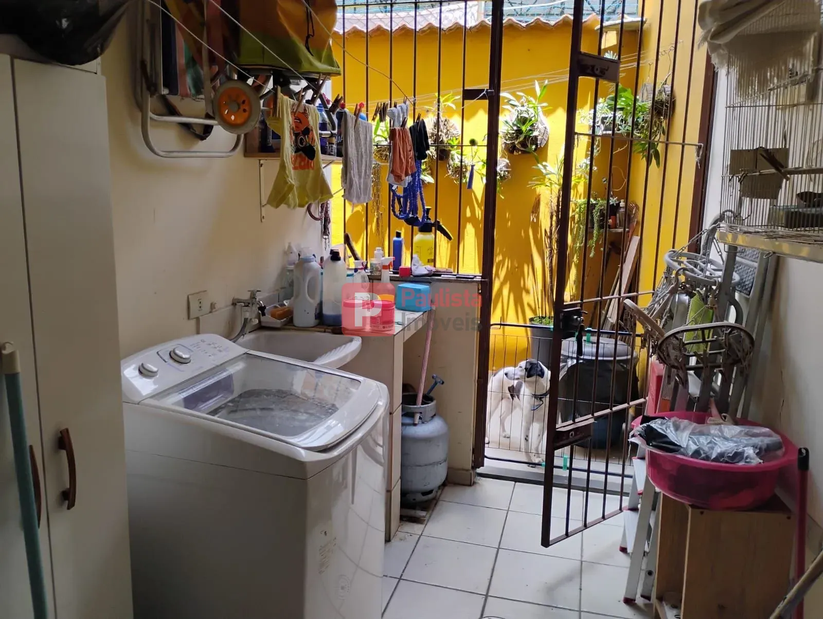 Foto 10