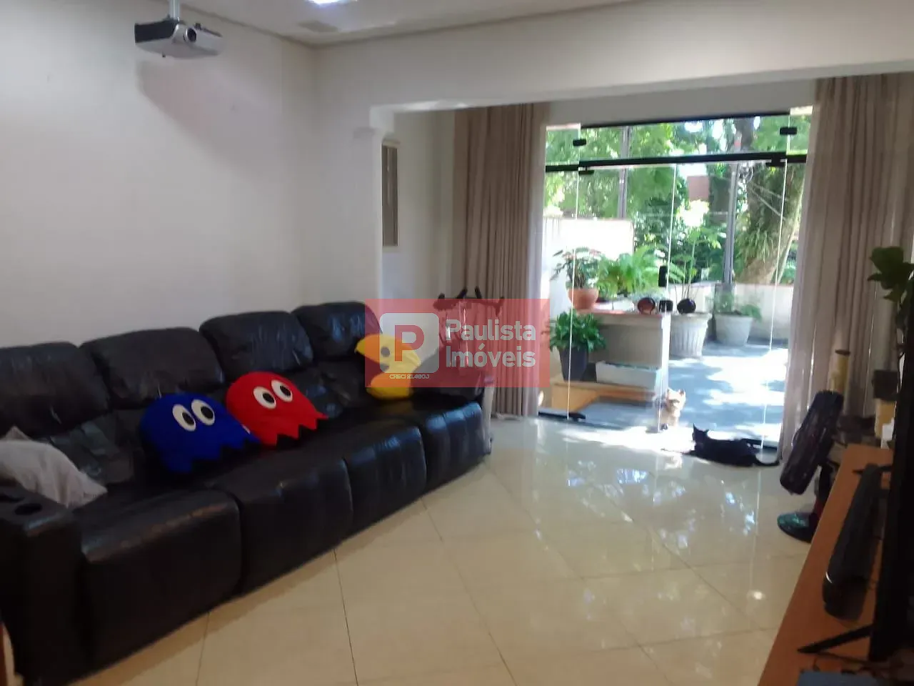 Foto 7