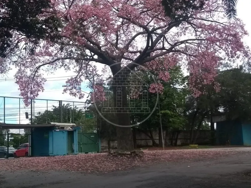 Sobrado, 2 quartos, 160 m² - Foto 31