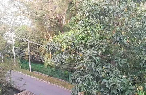 Sobrado, 6 quartos, 245 m² - Foto 11