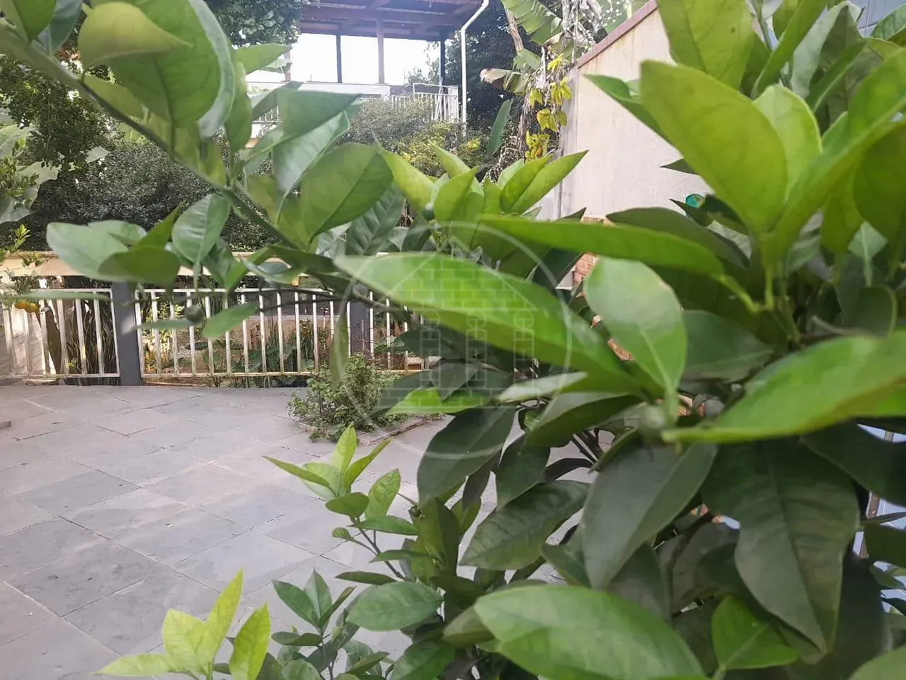Sobrado, 3 quartos, 440 m² - Foto 6