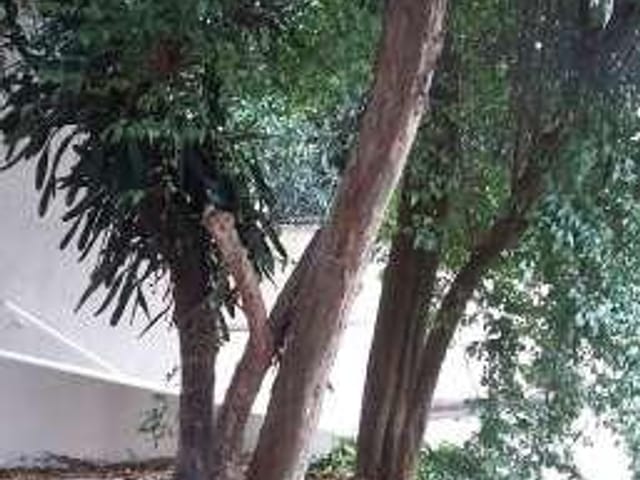 Foto do Sobrado - Sobrado residencial à venda, Guaianazes, São Paulo. | ZONA LESTE IMÓVEIS