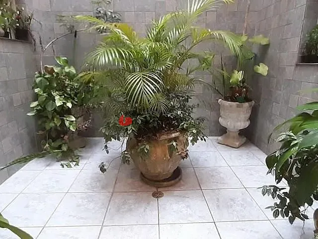 Sobrado com 203m² 3 quartos e 1 banheiro, à venda, no bairro Santa Maria em São Caetano do Sul