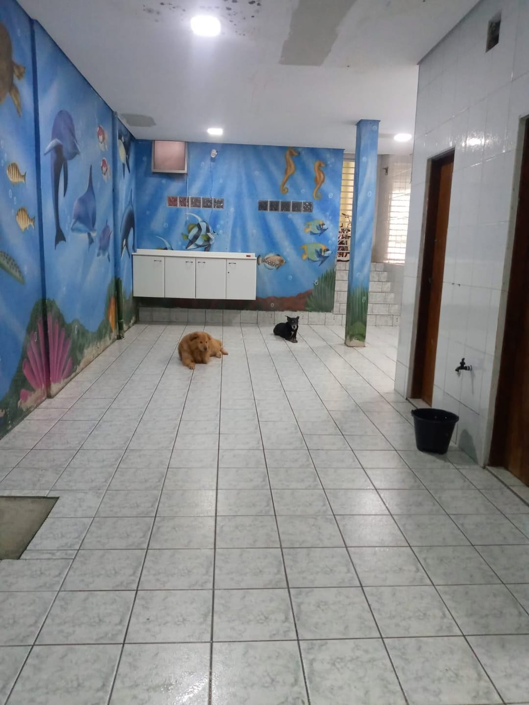 Sobrado, 3 quartos, 125 m² - Foto 54