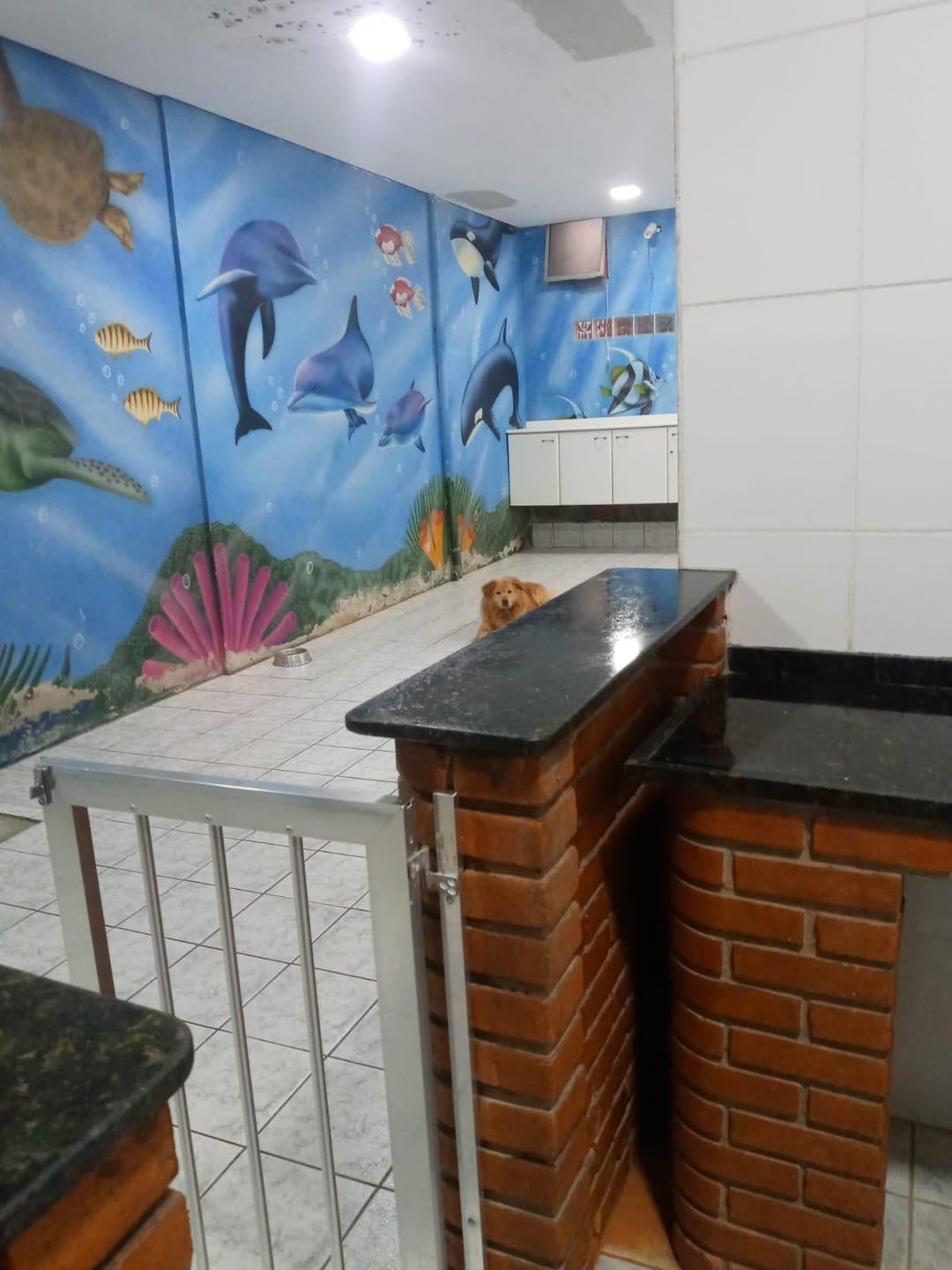 Sobrado, 3 quartos, 125 m² - Foto 55