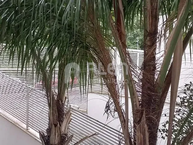 Studio 2 quartos e 1 banheiro, para alugar, no bairro Jardim Franca em São Paulo
