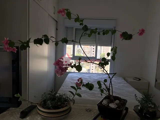 Studio 1 quarto e 1 banheiro, para alugar, no bairro Vila Mariana em São Paulo