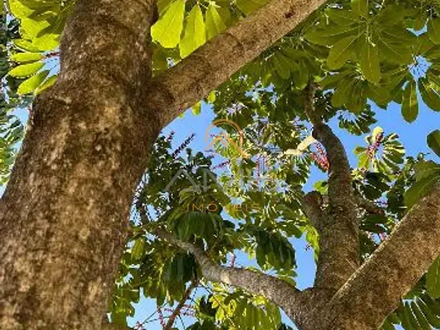 Terreno com 432m², à venda, no bairro Centro em Pelotas