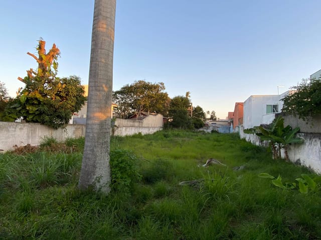 Terreno com 960m², à venda, no bairro Palmeiras em Cabo Frio