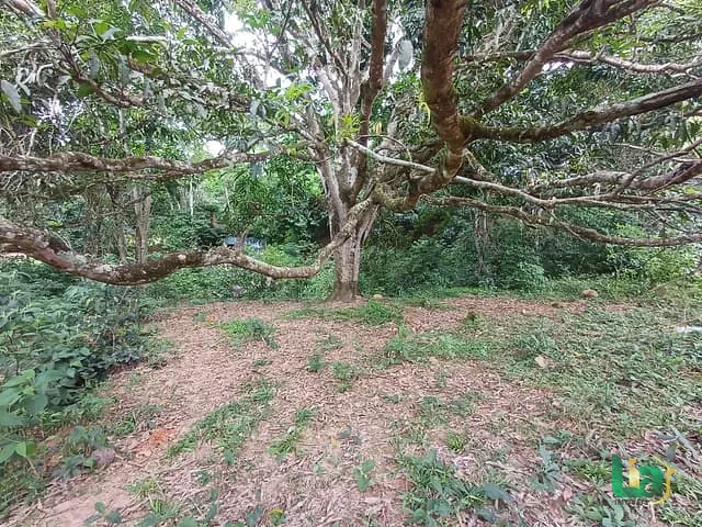 Terreno com 250m², à venda, no bairro Recreio em Muriaé