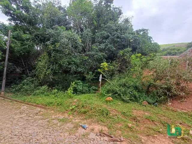 Terreno com 250m², à venda, no bairro Recreio em Muriaé