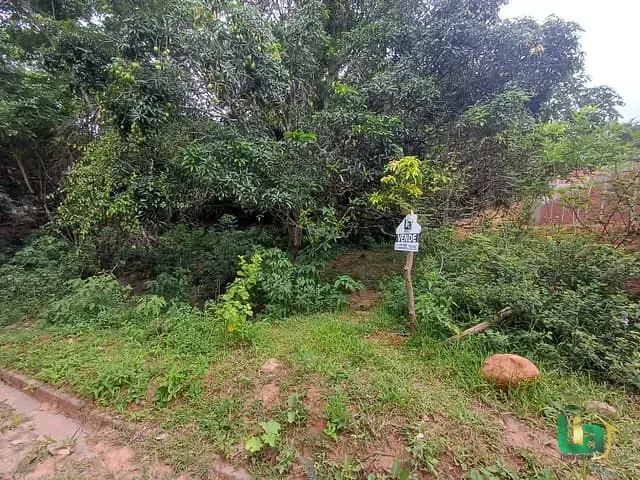 Terreno com 250m², à venda, no bairro Recreio em Muriaé