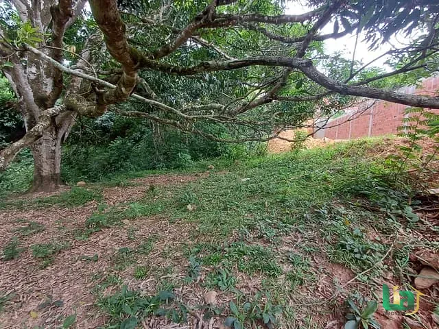 Terreno com 250m², à venda, no bairro Recreio em Muriaé