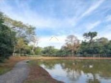 Terreno à venda, 10m² - Foto 11