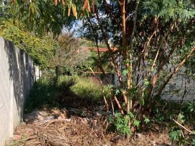 Terreno com 427m², à venda, no bairro Jardim das Flores em Atibaia