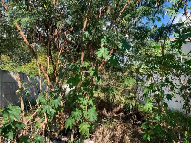 Terreno com 427m², à venda, no bairro Jardim das Flores em Atibaia