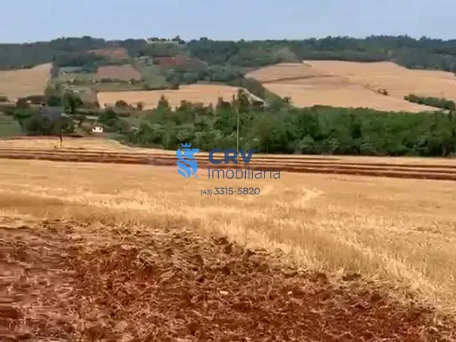 Terreno com 169400m², à venda, no bairro Rural em Londrina