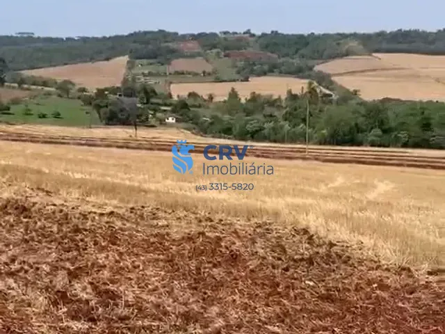 Terreno com 169400m², à venda, no bairro Rural em Londrina