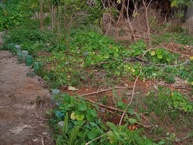Terreno com 350m², à venda, no bairro Cidade São Mateus em São Paulo