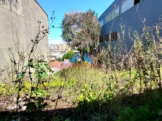 Terreno com 319m², à venda, no bairro Nossa Senhora do Ó em São Paulo
