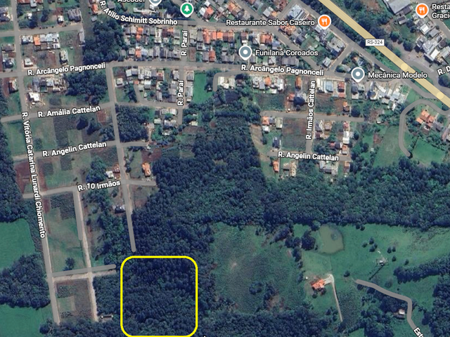 Terreno com 20000m², à venda, no bairro Coroados em Nova Prata