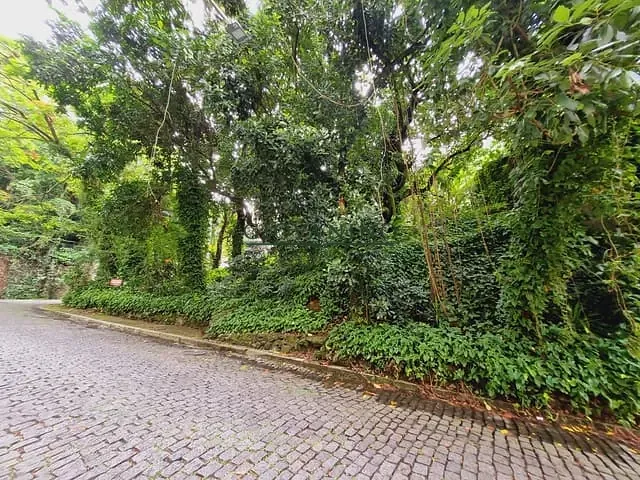 Terreno com 432m², à venda, no bairro Lagoa em Rio de Janeiro