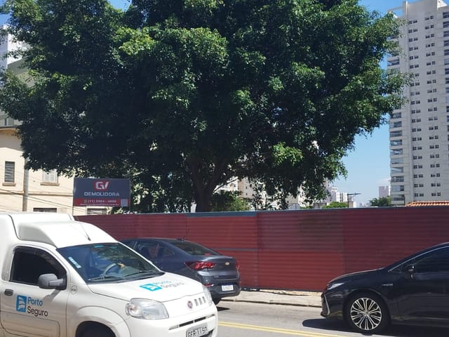 Terreno com 620m², para alugar, no bairro Vila Firmiano Pinto em São Paulo