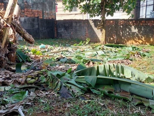 Terreno à venda, no bairro Federação em Salvador