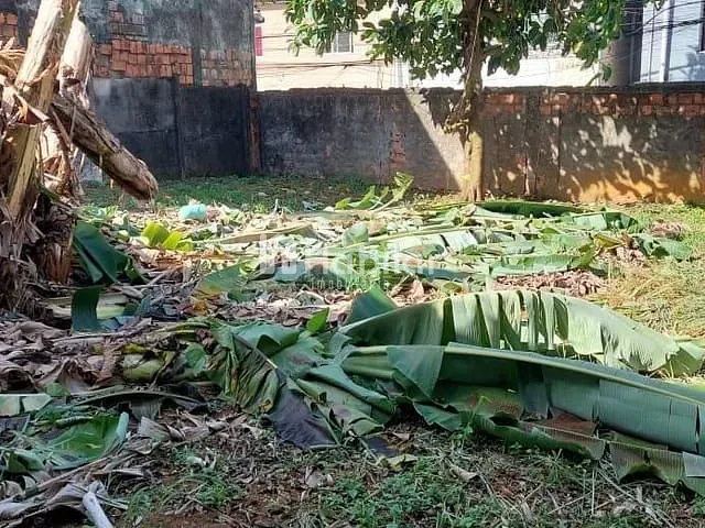Terreno à venda, no bairro Federação em Salvador