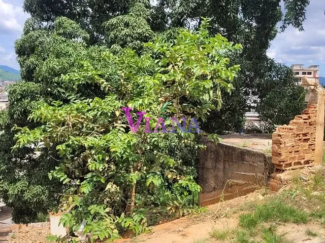 Terreno com 545m², à venda, no bairro Novo Parque em Cachoeiro de Itapemirim