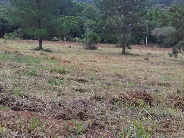 Foto do Terreno - Terreno à venda, Bairro Campos Elisios, Pardinho, SP | Imobiliária Sapopemba