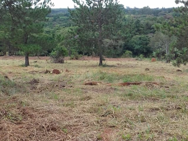 Foto do Terreno - Terreno à venda, Bairro Campos Elisios, Pardinho, SP | Imobiliária Sapopemba