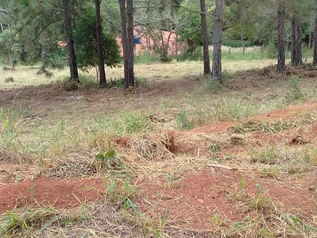 Foto do Terreno - Terreno à venda, Bairro Campos Elisios, Pardinho, SP | Imobiliária Sapopemba