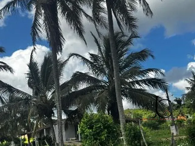 Terreno com 29m², à venda, no bairro Centro em Santa Rita