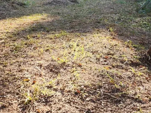 Terreno com 1000m², à venda, no bairro Vila Moraes em Mogi das Cruzes