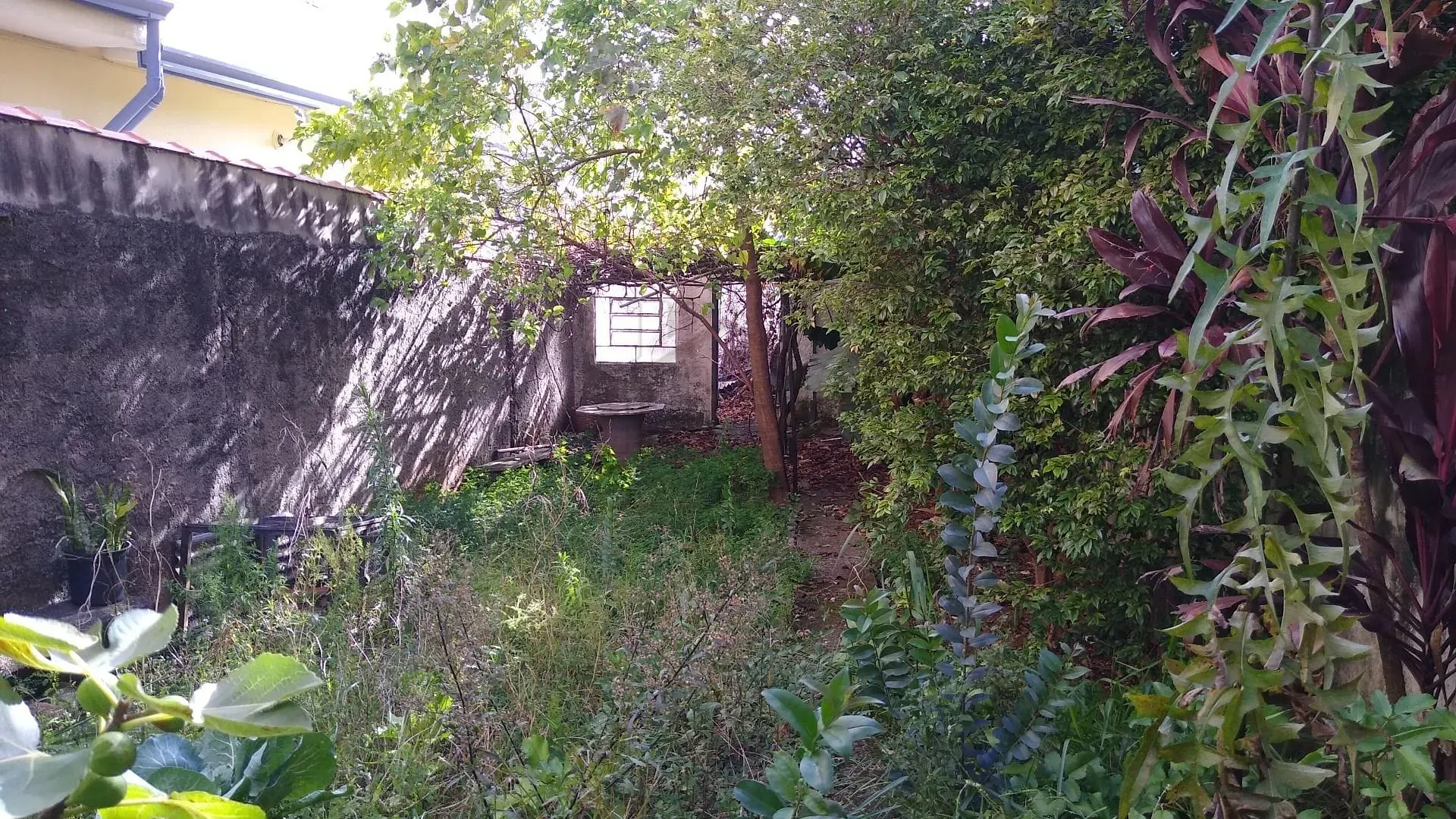 Terreno, 251 m² - Foto 9