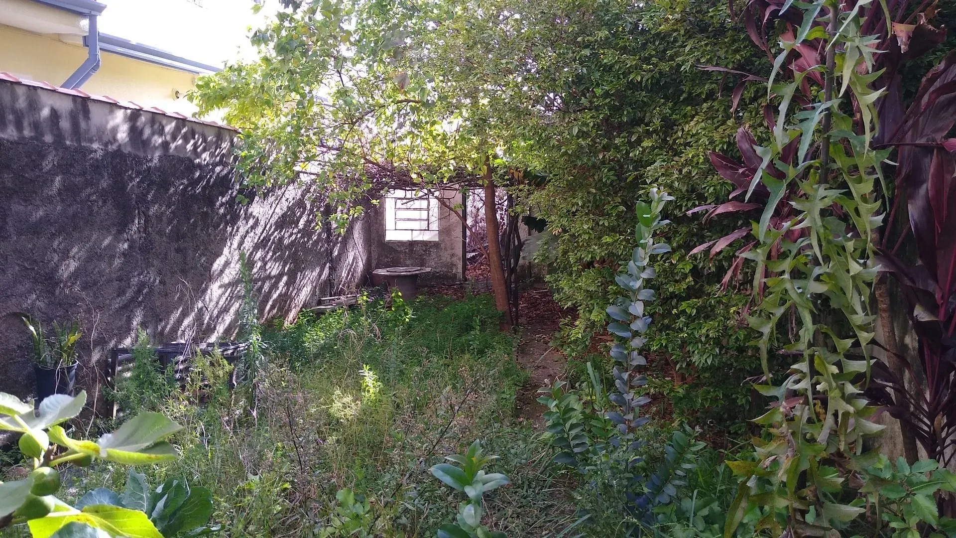 Terreno, 251 m² - Foto 8