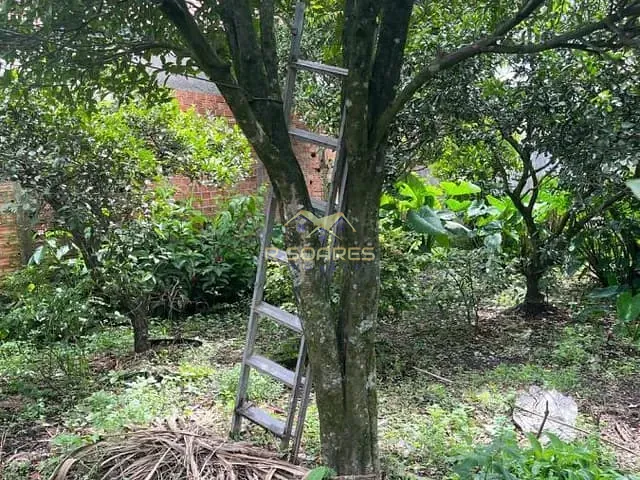 Terreno com 530m², à venda, no bairro Tindiquera em Araucária