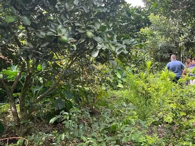 Terreno com 530m², à venda, no bairro Tindiquera em Araucária