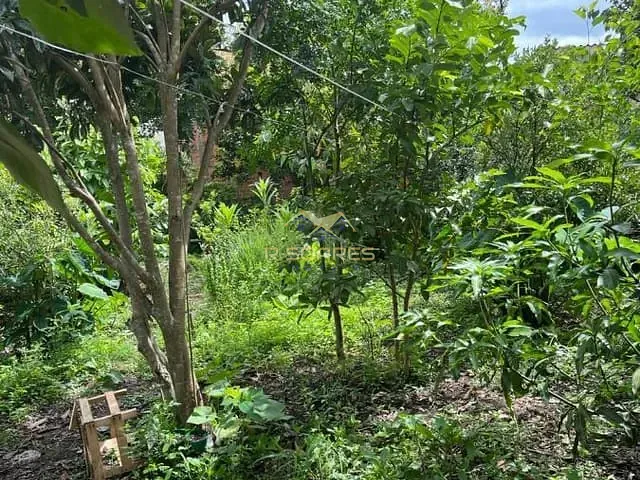 Terreno com 530m², à venda, no bairro Tindiquera em Araucária