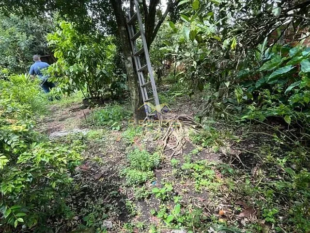 Terreno com 530m², à venda, no bairro Tindiquera em Araucária