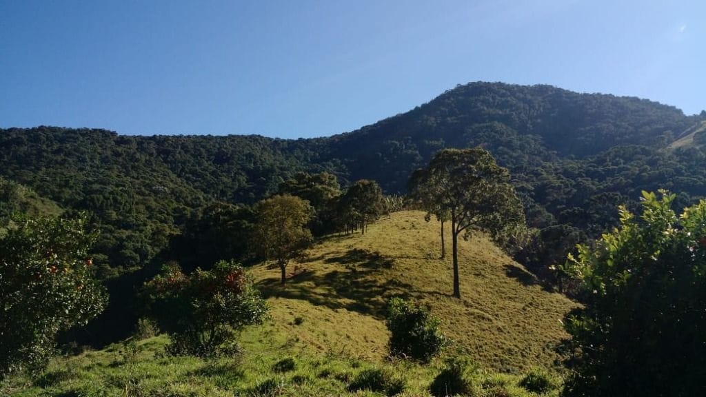 Terreno no Luminosa — foto 4