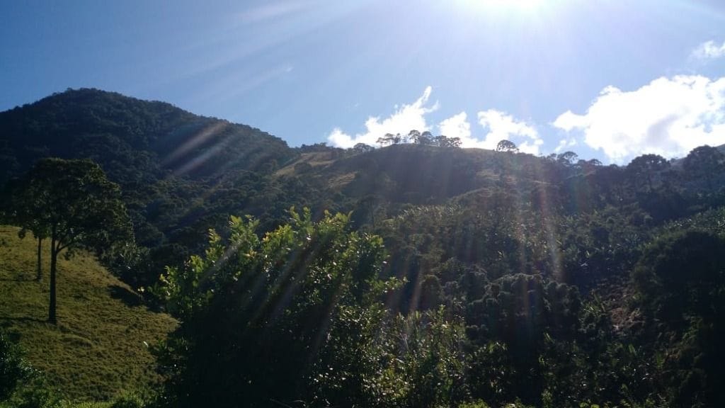 Terreno no Luminosa — foto 3