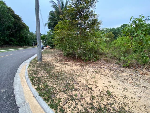 Foto do Terreno - Alphaville Manaus 1, Lote com 728m², Plano, com as autorizações do IPAAM, Pronto para Construir, Ponta Negra, Manaus, AM | Mota Negócios Imobiliários