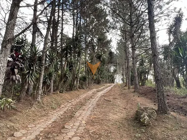 Terreno com 18455m², à venda, no bairro Taboleiro Verde em Cotia