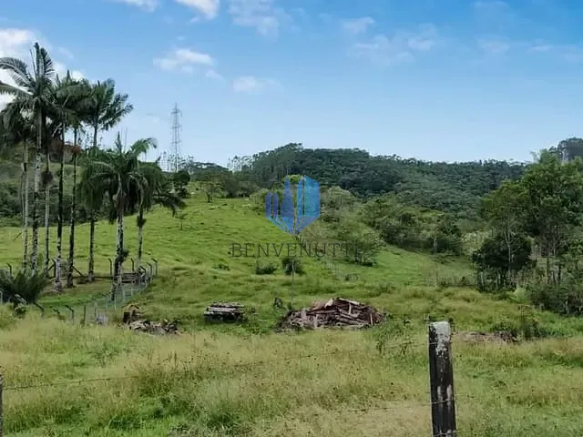 Terreno com 6200m², à venda, no bairro Área Rural de Camboriú em Camboriú
