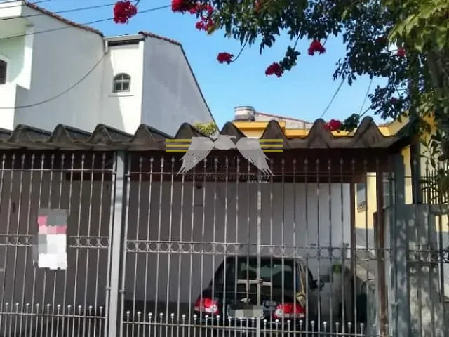 Terreno com 446m², à venda, no bairro Vila Formosa em São Paulo